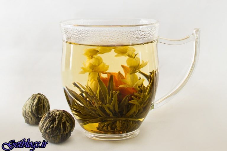 شکفتن شکوفههای چای سبز در آب